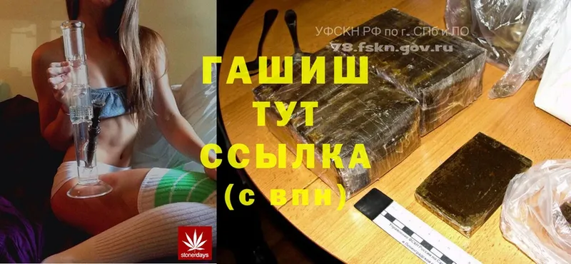 где купить наркоту  Кызыл  Гашиш Cannabis 